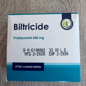 Biltricide (praziquantel). Бильтрицид (празиквантел) 600мг. 4 таблетки